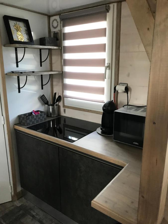 Les Nuits Insolites De La Mothe - Hebergement En Bulle Ou Tiny House Avec Spa Privatif Outremecourt エクステリア 写真